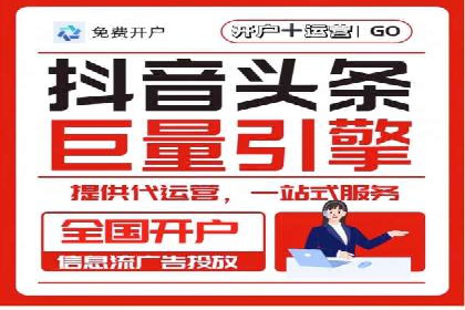 竞价托管与SEO结合的案例分析